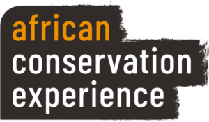 Logo African Conservation Experience