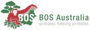 Logo BOS Australia
