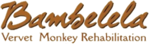 Logo Bambelela