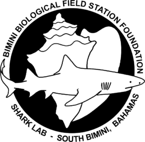 Logo Bimini Shark Lab