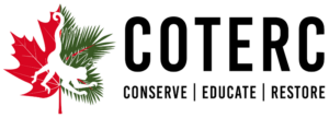 Logo COTERC