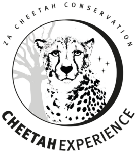 Logo Cheetah Experience