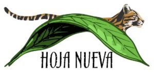 Logo Hoja Nueva