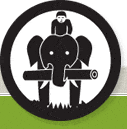 Logo Involvement Volunteers International