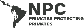 Logo Neotropical Primate Conservation