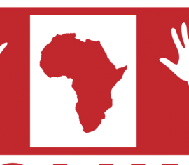 Logo SAVE Volunteering