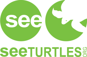 Logo SEE Turtles