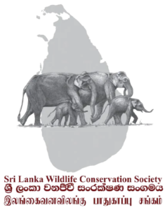 Logo SLWCS