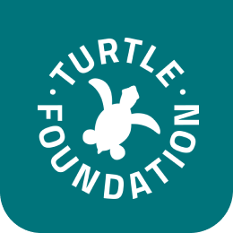 Logo Turtle Foundation