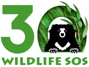 Logo Wildlife SOS